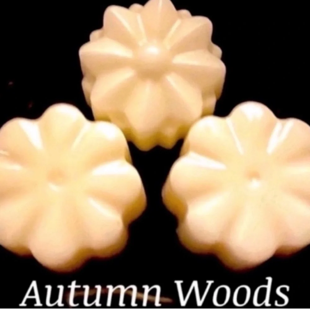 Bath and Body Works Candle Wax Melt Bundle - Picture 3 of 10